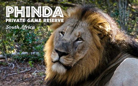 Why You must Experience a Private Game Reserve in Africa | Just ...