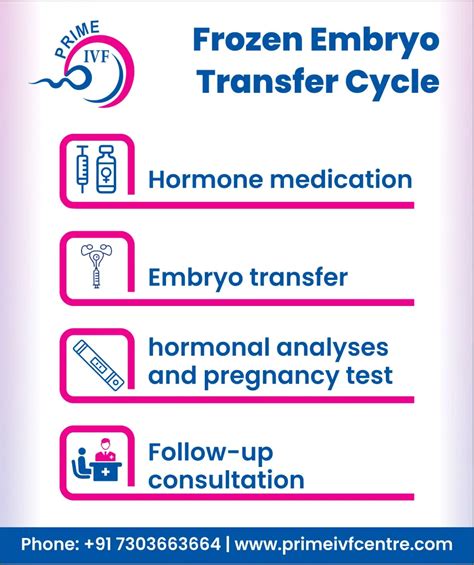 Frozen Embryo Transfer Process Step By Step - Prime IVF