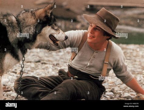 Wolfsblut, (WHITE FANG) USA 1990, Regie: Randal Kleiser, ETHAN HAWKE, Stichwort: Hund, Huskie ...