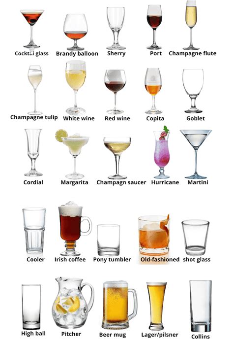 Different Types Of Glassware Used In Food And Beverage Service - Food And Beverage Service