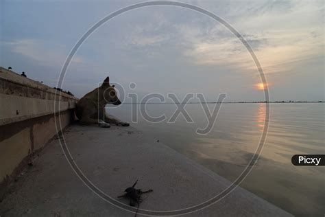 Image of guptar ghat sunset view ayodhya faizabad uttar pradesh india ...