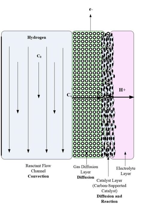 Gas Diffusion Layer: Characteristics and Modeling