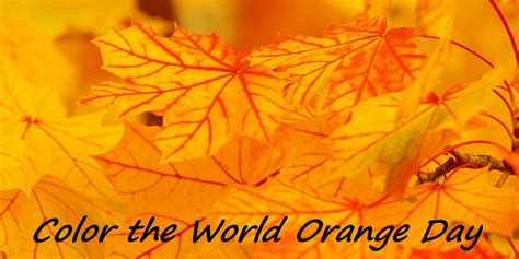 Color the World Orange Day in 2022/2023 - When, Where, Why, How is Celebrated?