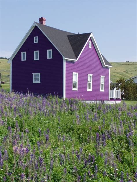 purple | Purple home, House exterior, House colors