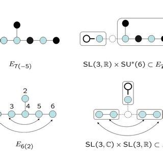 e 8(8) Dynkin diagram. | Download Scientific Diagram