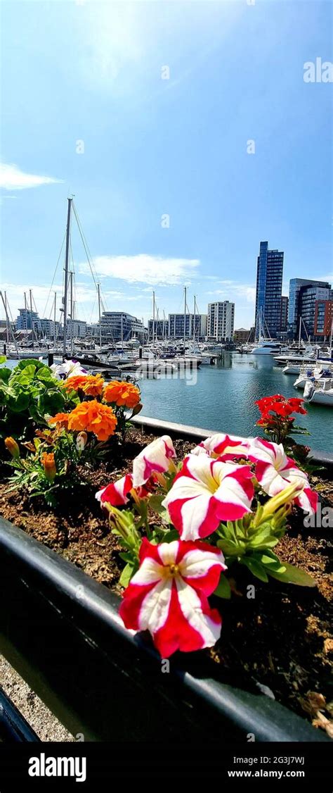 Ocean Village Marina - Southampton, UK Stock Photo - Alamy