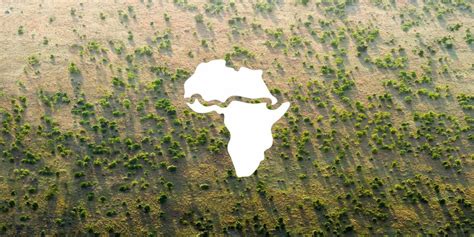 More than 20 African countries are planting a 8,000-km-long 'Great Green Wall'