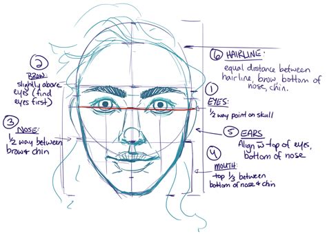 Droppin’ some face knowledge on all your tumblrs like | Face proportions drawing, Drawings ...