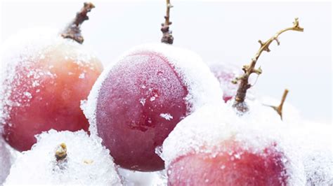 Here's Why Grape Ice Cream Isn't a Thing | Mental Floss