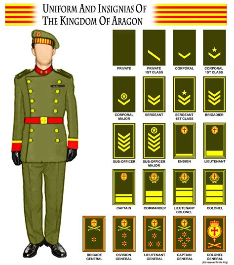 √ Army Officer Rank Timeline - Spartan Tree