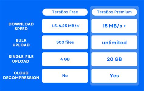 What You Didn't Know About TeraBox Premium In 2023