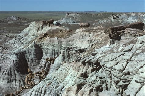 Petrified trees, Petrified Forest National Park, Arizona | Flickr