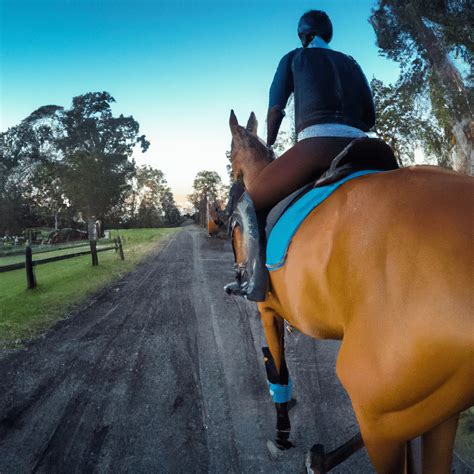 Endurance Riding Mastery: Preparing Your Horse for Long Stretches ...