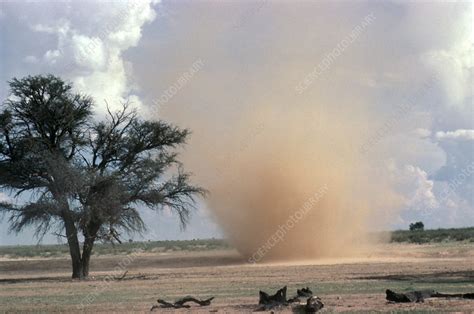 Dust devil - Stock Image - E150/0042 - Science Photo Library