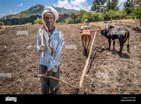 Portrait of an Ethiopian farmer, Debre Berhan, Ethiopia Stock Photo - Alamy