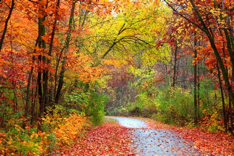 Fall colors: When to see the best foliage in your area