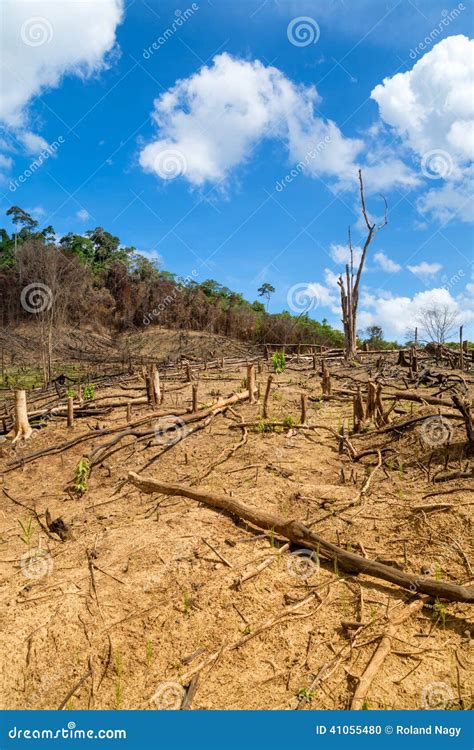 Deforestation in the Philippines Stock Photo - Image of damage, human ...