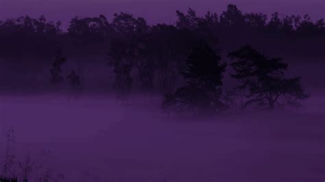 Purple haze wallpaper - backiee