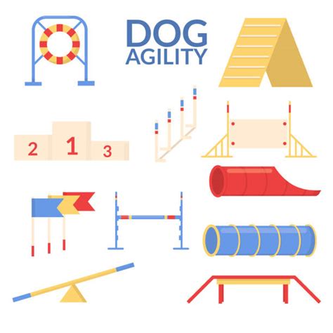 Dog Agility Illustrations, Royalty-Free Vector Graphics & Clip Art - iStock