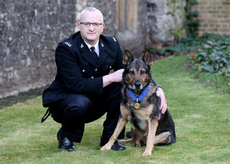 Police dog receives PDSA Gold Medal - Worcestershire Hour