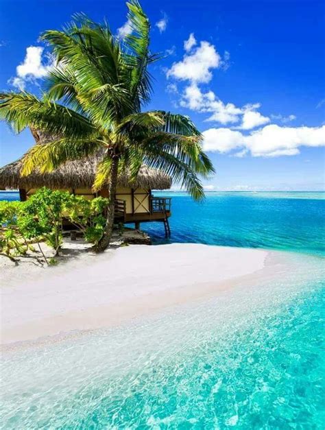 Tahiti - French Polynesia in the South Pacific Ocean. | Dream vacations, Beautiful places ...