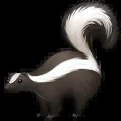 🦨 Skunk Emoji — Meaning, Copy & Paste