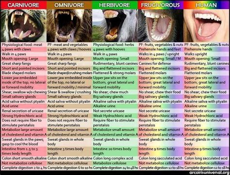 #omnivores #carnivores #herbivores #human #vegetarian #vegan #meat ...