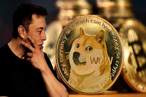 Does Elon Musk Holds DOGE?