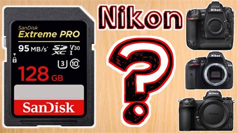 Best Memory Card for Nikon Cameras – Choosing the Best SD Card for Video on Nikon Cameras - YouTube