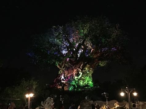 Animal Kingdom nighttime entertainment begins Memorial Day ...