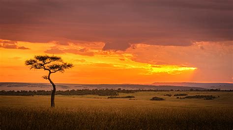 Kenya Wildlife Photography Safari Tour | Venture Photography Workshops