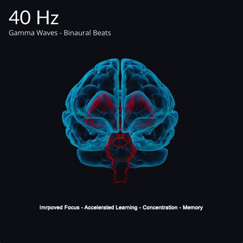 Dr. Andrew Huberman – How 40Hz Binaural Beats Can Improve Your Focus ...