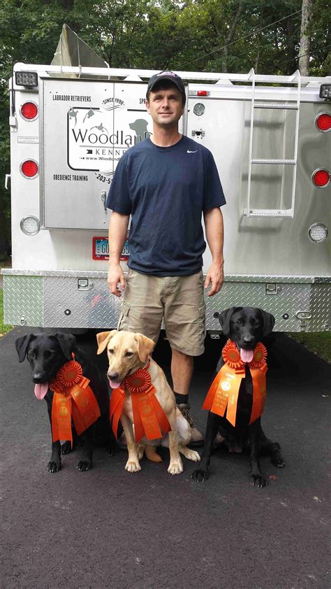 Labrador Retriever Training in Connecticut