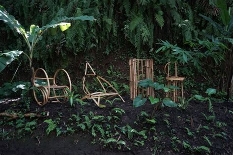 How to Harvest Bamboo Sustainably