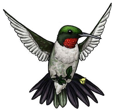 Hummingbird Clipart Free | Hummingbird drawing, Hummingbird art, Free ...