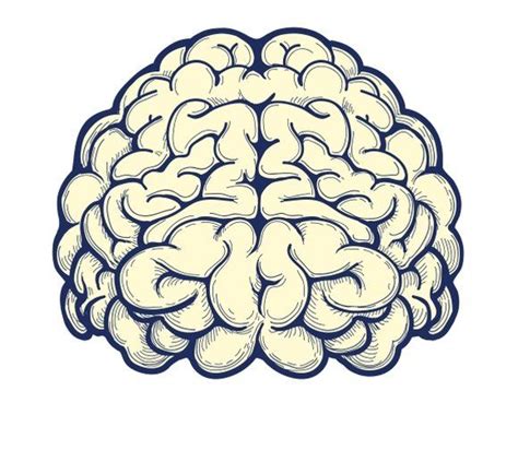 Human brain hand drawn icon | Idee per tatuaggi, Tatuaggio cervello ...