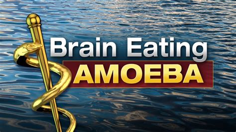 Brain-Eating Amoeba Texas 2024 - Cahra Corella