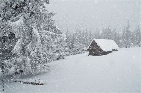 Winter blizzard Stock Photo | Adobe Stock