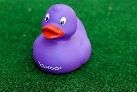 purple duck | rubber ducky photography | Jérôme Decq | Flickr