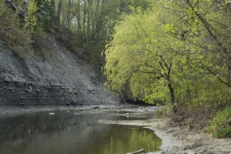 Explore Etobicoke Valley Park, Toronto, ON