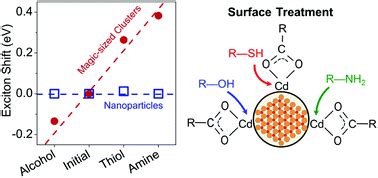 Surface chemistry of cadmium sulfide magic-sized clusters: a window into ligand-nanoparticle ...