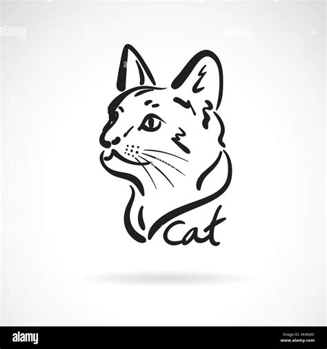Vector of a cat head on white background. Pet. Animal. Easy editable layered vector illustration ...
