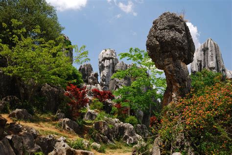 The Stone Forest In China Is a Magical Place You Usually See In Movies