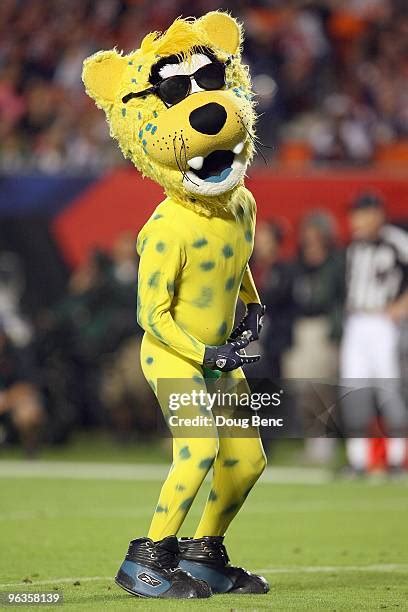 Mascot Jaxson De Ville Photos and Premium High Res Pictures - Getty Images