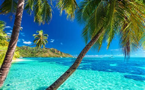 Download wallpapers tropical islands, 4k, sea, palm trees, yachts, rest, beaches, tourism ...