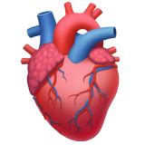 Corazón humano Emoji 🫀