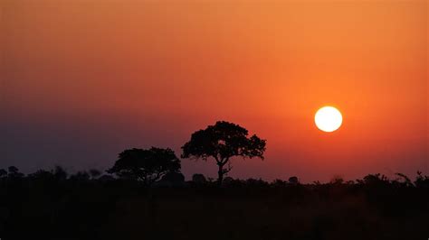 HD wallpaper: south africa, kruger national park, photos, sunset, nature | Wallpaper Flare