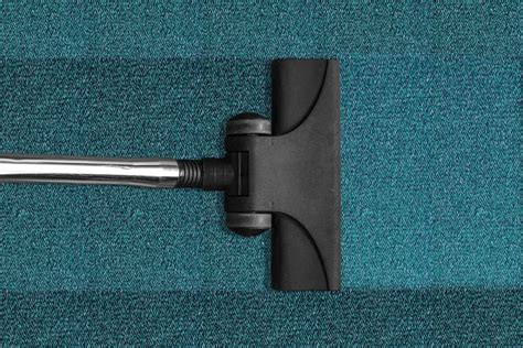 3 Common Carpet Stains and How to Deal With Them - CatsKidsChaos