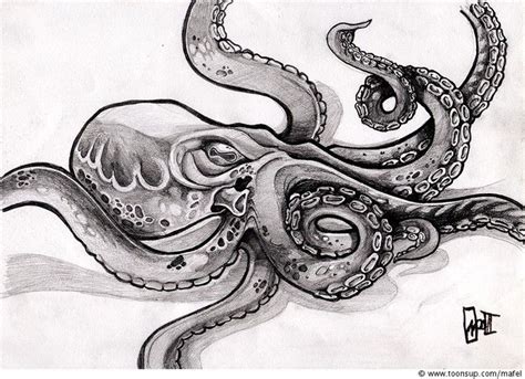 Kraken Drawing, Pencil, Sketch, Colorful, Realistic Art Images ...