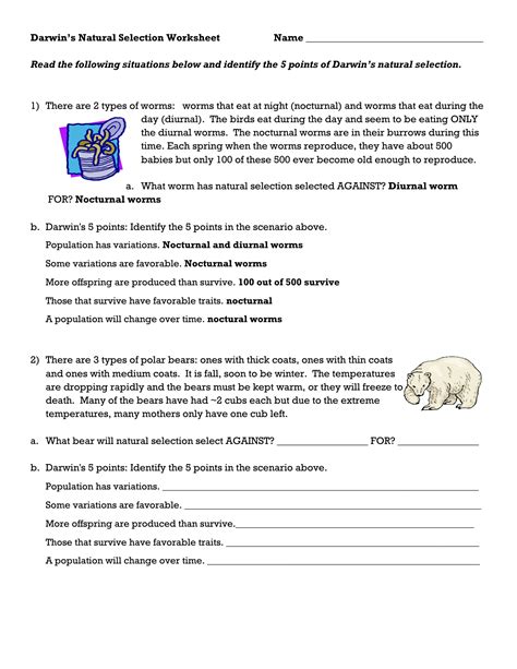 Natural Selection Worksheet